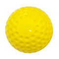 Perfect Your Pitch Baseball Training Equipment