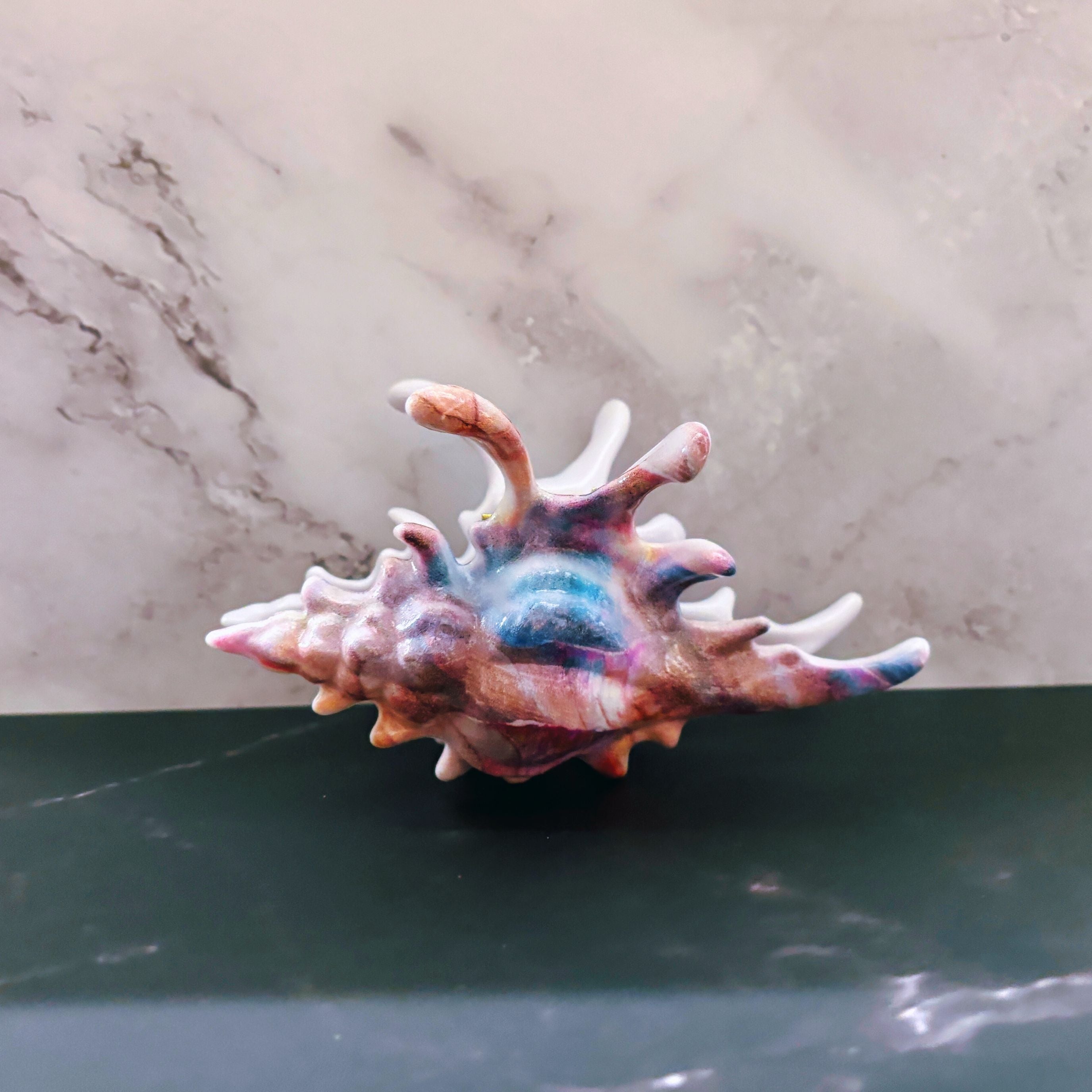 Velvet Claws Realistic Conch Shell Hair Claw in Mermaid Colors